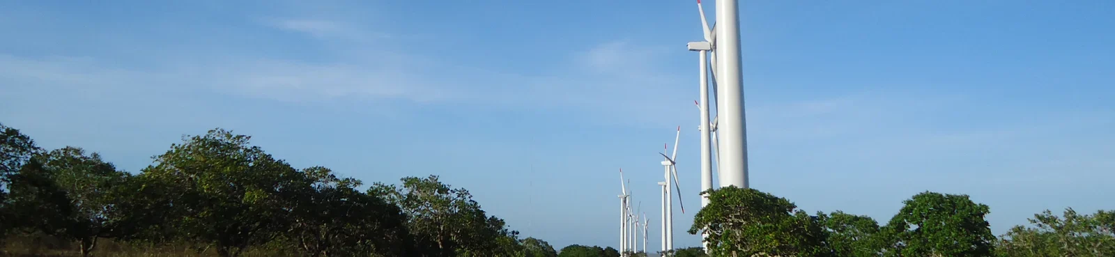 banner-5