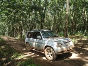 foto6